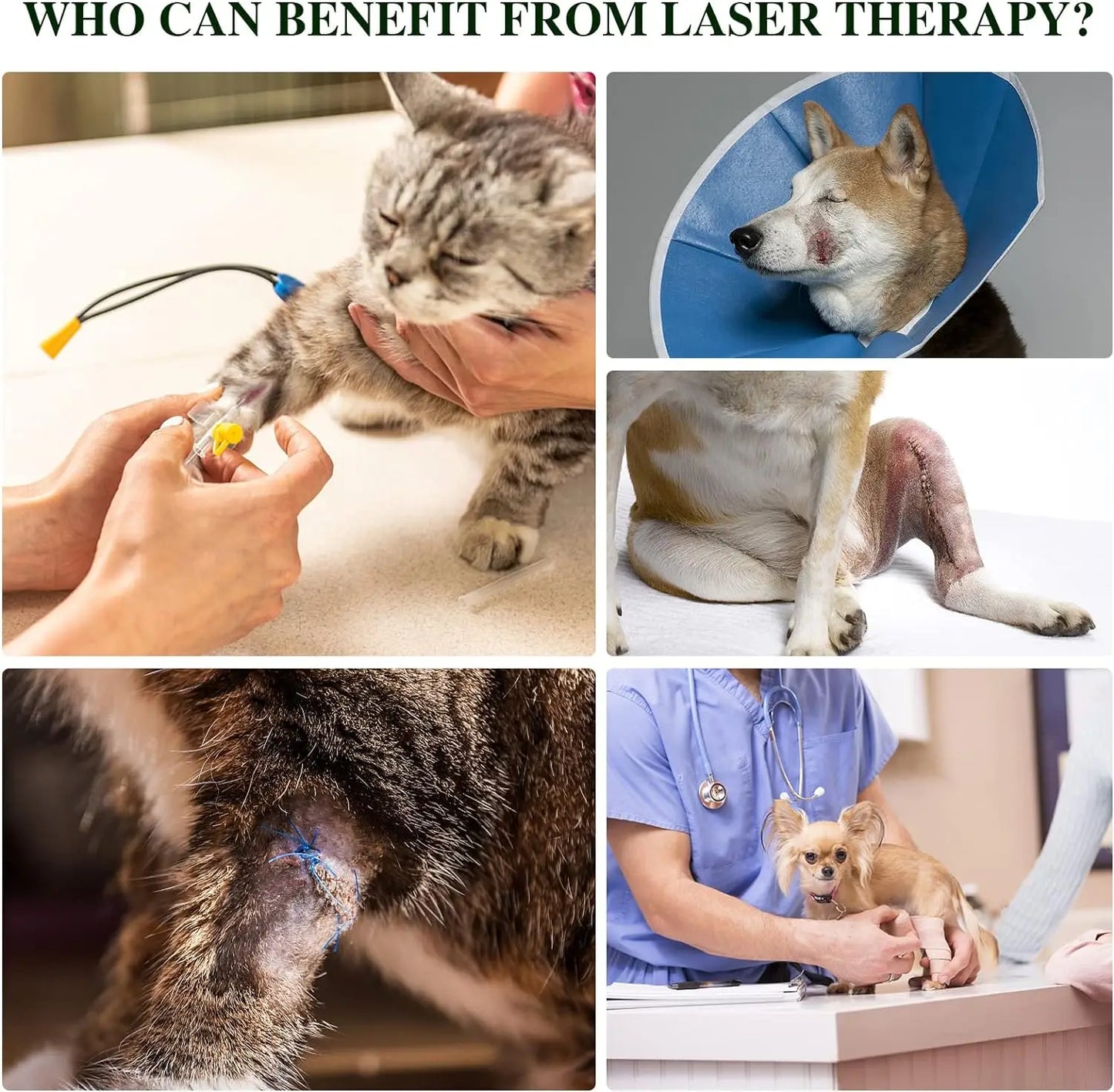 Red Light Therapy Device For Pets Arthritis Relief 660nm 810nm