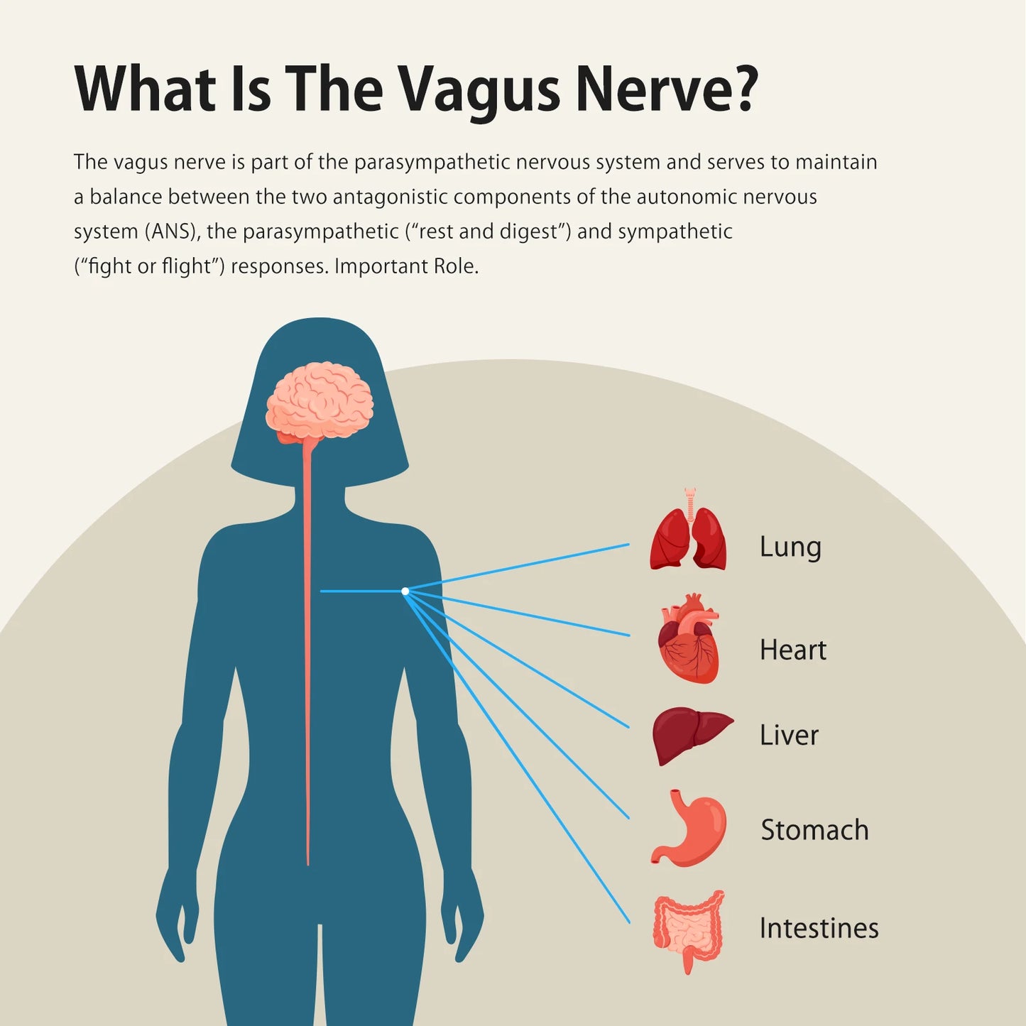ZENOWELL Vagus Nerve Stimulation Device For Deep Sleep And Anxiety Relief