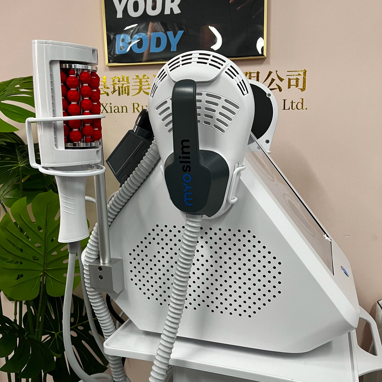 MYOSLIM 360 Degree Vacuum Massage Roller For Cellulite Reduction