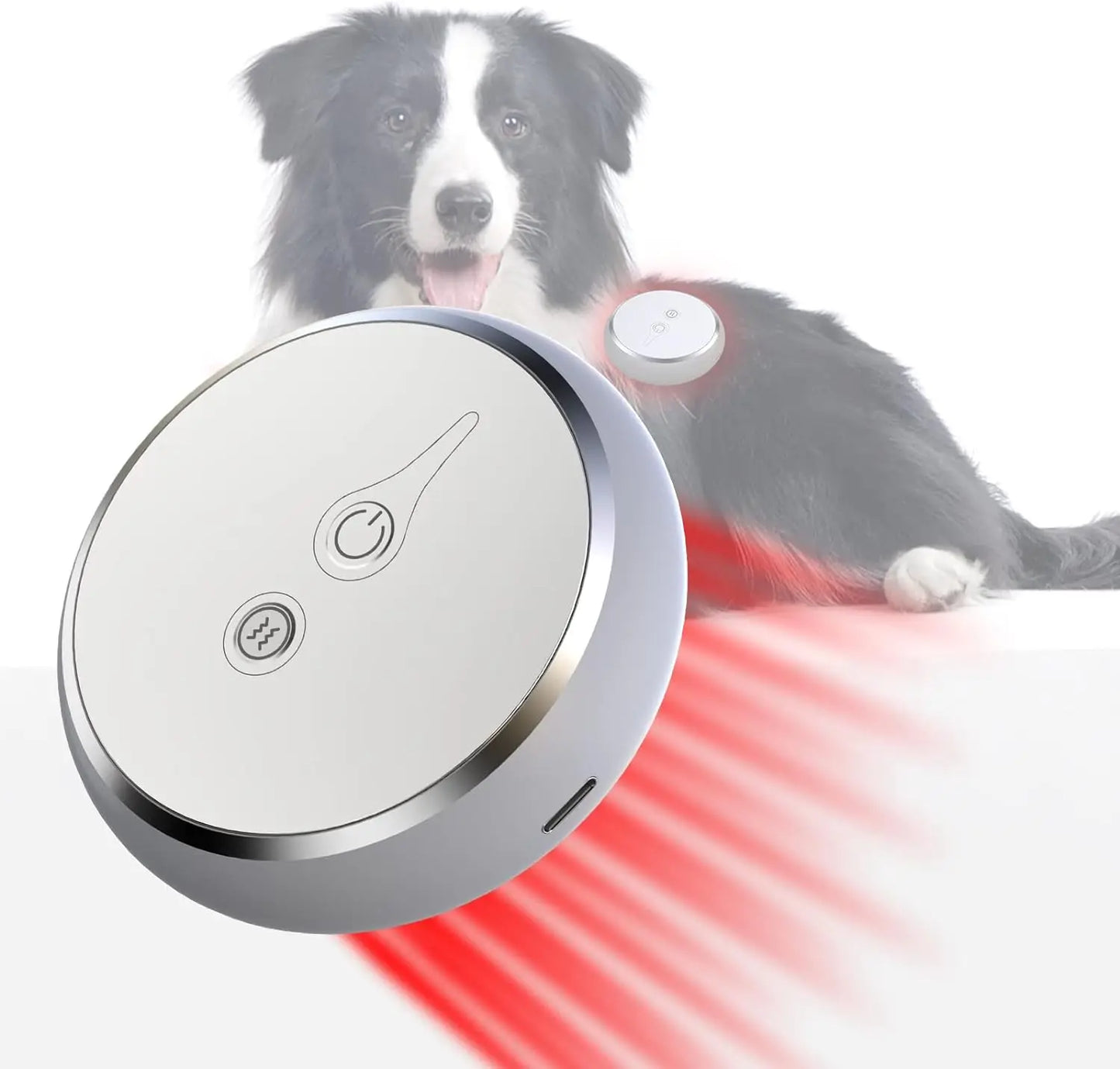 Red Light Therapy Device For Pets Arthritis Relief 660nm 810nm